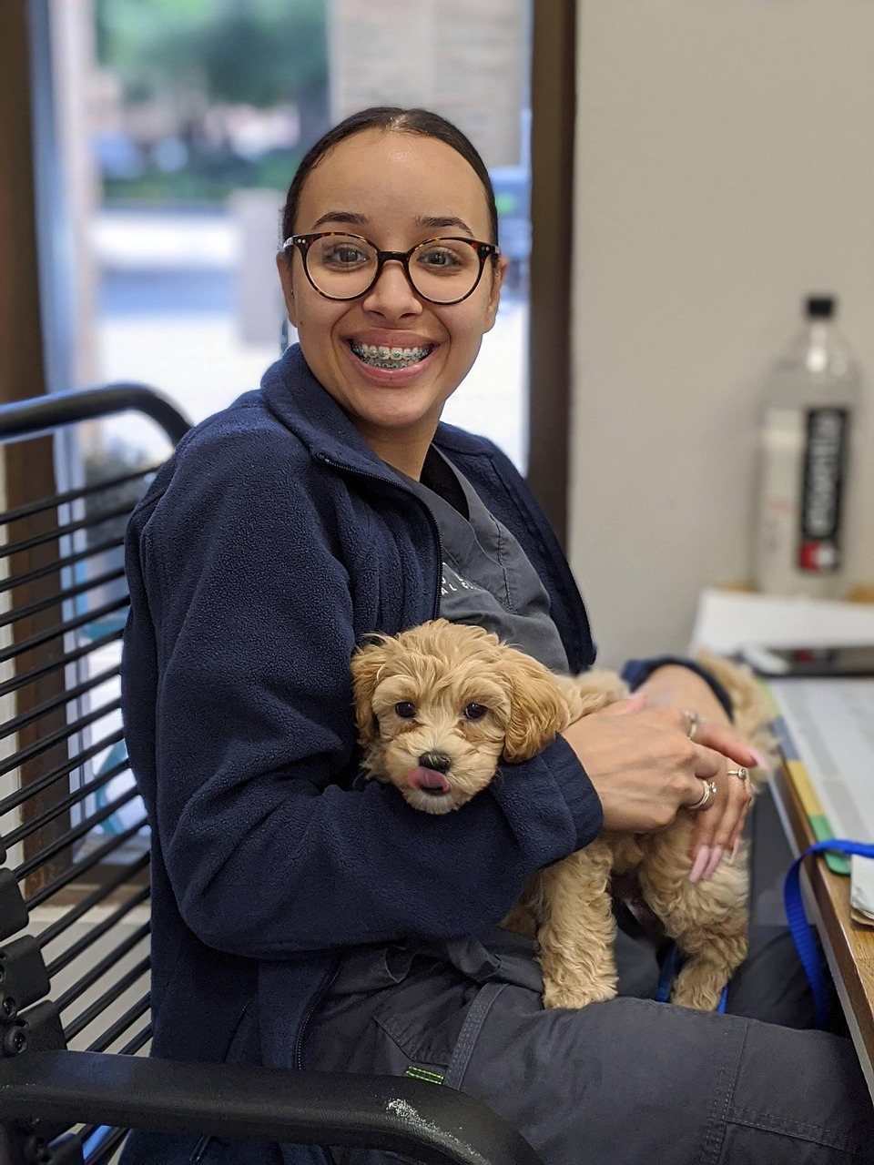 Is Pet Insurance Worth It for a Puppy? The $700 to $1,205 Break-Even